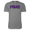Thumbnail image for  Next Level Heather Grey SoftStyle T Shirt