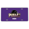 Thumbnail image for  License Plate