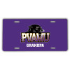 Thumbnail image for  License Plate