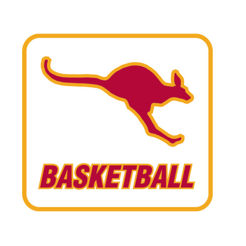  Medium Decal - Basketball