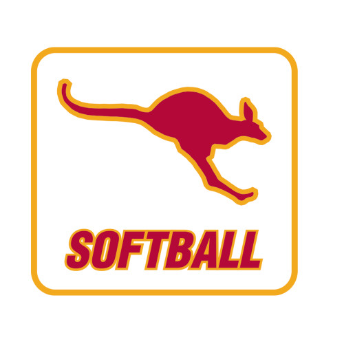  Medium Decal - Softball