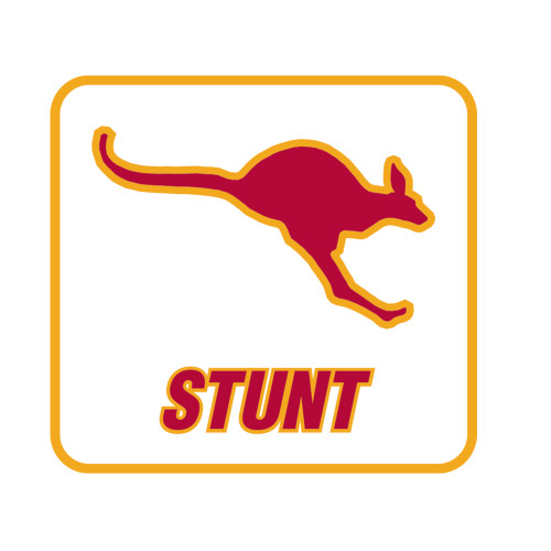  Medium Decal - Stunt