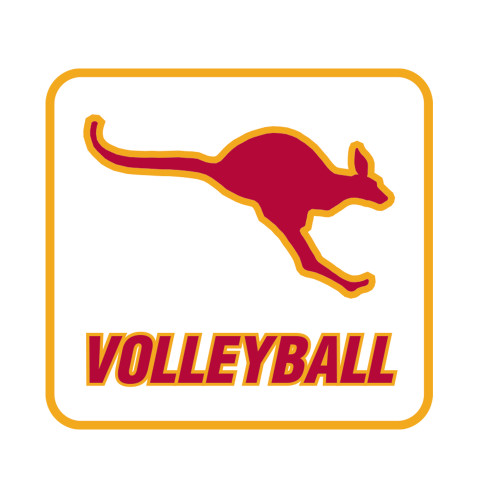  Medium Decal - Volleyball