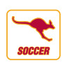 Thumbnail image for  Medium Decal