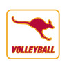 Thumbnail image for  Medium Decal