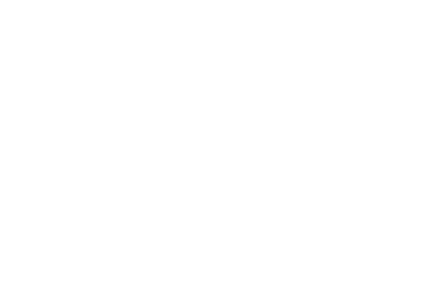 Adelphi Panthers