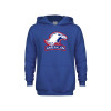 Thumbnail image for  Youth Royal Fleece Hoodie