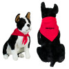 Thumbnail image for  Red Pet Bandana