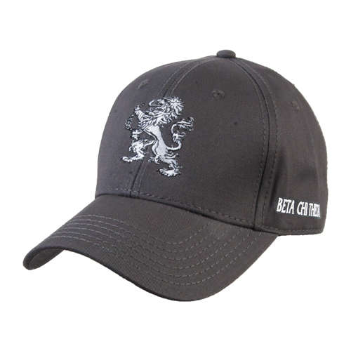 Charcoal Structured Adjustable Pro Style Hat-Lion