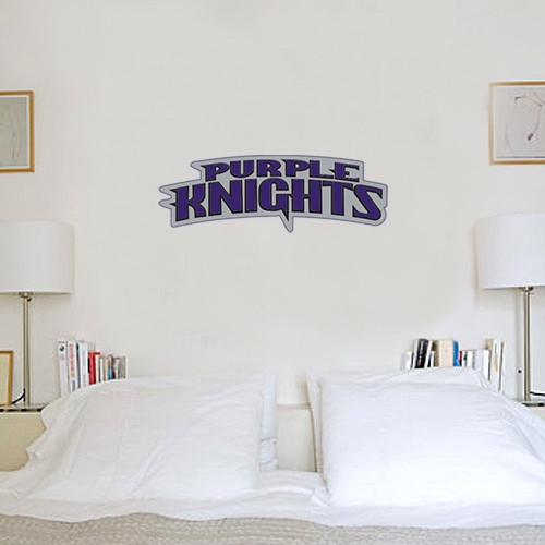  6 in x 2 ft Fan WallSkinz - Purple Knights