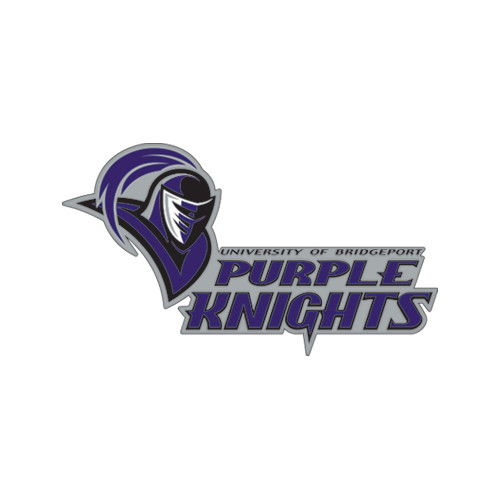  Medium Decal - Purple Knights Stacked w/ Knight Head