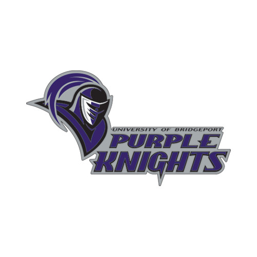  Large Decal - Purple Knights Stacked w/ Knight Head
