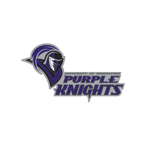  Small Decal - Purple Knights Stacked w/ Knight Head