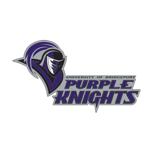  Extra Large Decal - Purple Knights Stacked w/ Knight Head