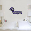 Thumbnail image for  1.5 ft x 3 ft Fan WallSkinz