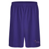 Thumbnail image for  Purple Performance Classic 9 Inch Short
