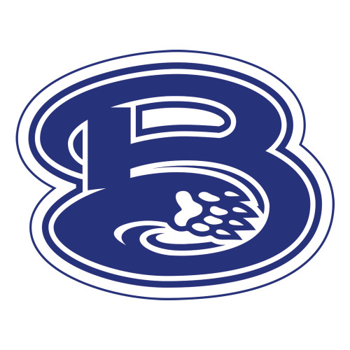  Large Decal - B