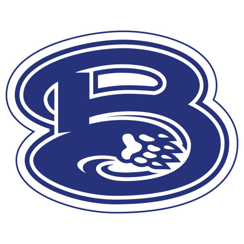  Extra Large Decal - B