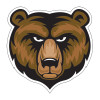 Thumbnail image for  Medium Decal