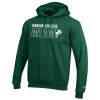 Thumbnail image for  Champion Dark Green Fleece Hoodie
