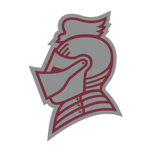  Medium Decal - Knight Head