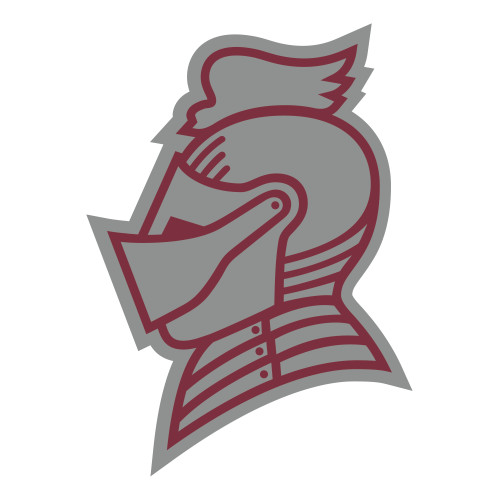  Large Decal - Knight Head