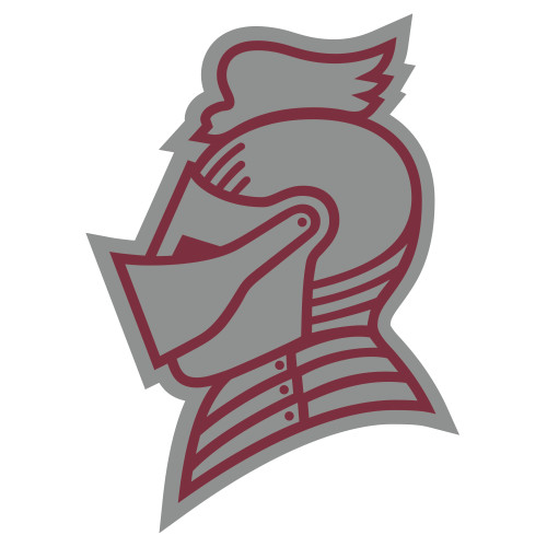  Extra Large Decal - Knight Head