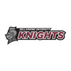 Thumbnail image for  Medium Decal