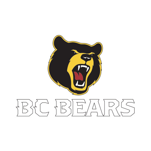 - Bloomfield Bears - Decals/Magnets & Auto