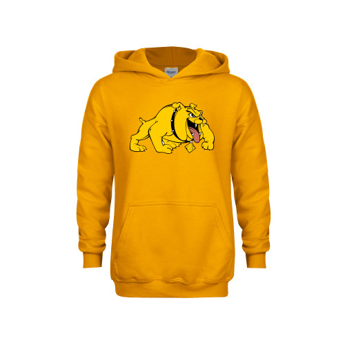  Youth Gold Fleece Hoodie - Primary Mark