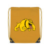 Thumbnail image for  Gold Drawstring Backpack