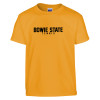 Thumbnail image for  Youth Gold T Shirt