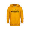 Thumbnail image for  Youth Gold Fleece Hoodie
