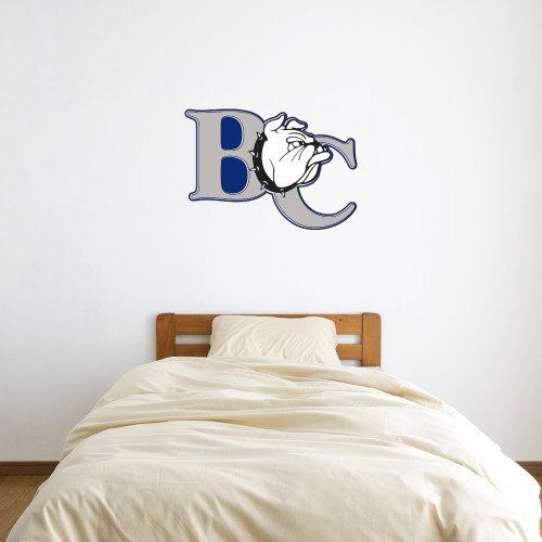  2 ft x 2 ft Fan WallSkinz - Official Logo