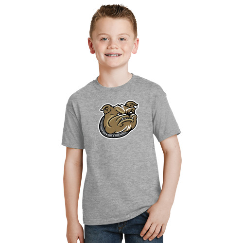 Main Image for  Youth Grey T-Shirt