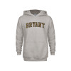 Thumbnail image for  Youth Grey Fleece Hood