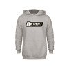 Thumbnail image for  Youth Grey Fleece Hood