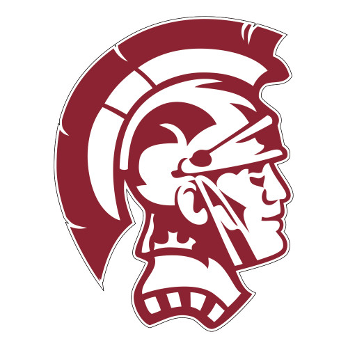  Large Decal - Spartan