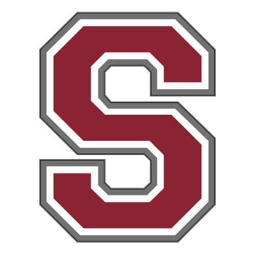  Large Decal - S