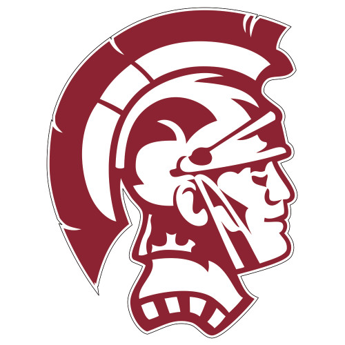  Extra Large Decal - Spartan