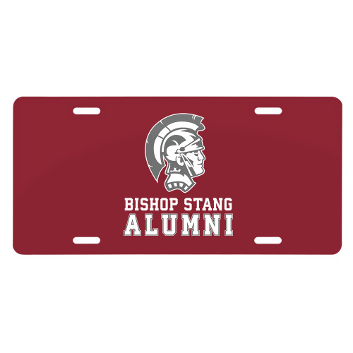  License Plate - Alumi