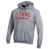 Thumbnail image for  Champion Heather Grey Fleece Hoodie