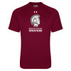 Thumbnail image for  Under Armour Maroon Tech Tee