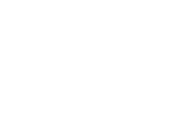 BSH Eagles