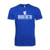 Thumbnail image for  Next Level Royal SoftStyle T Shirt