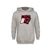 Thumbnail image for  Youth Grey Fleece Hood