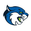Thumbnail image for  Medium Decal