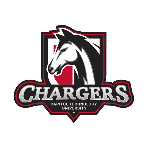  Small Decal - Chargers