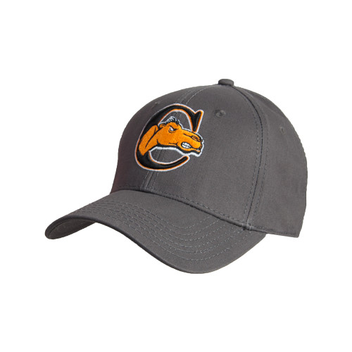 - Campbell University Fighting Camels - Hats & Scarves