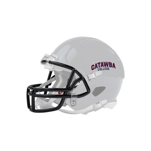  Riddell Replica White Mini Helmet - Catawba College Primary Mark